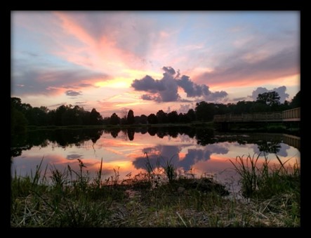 The Parklands 2_Blog pic