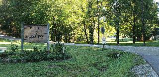 Beaver Sign