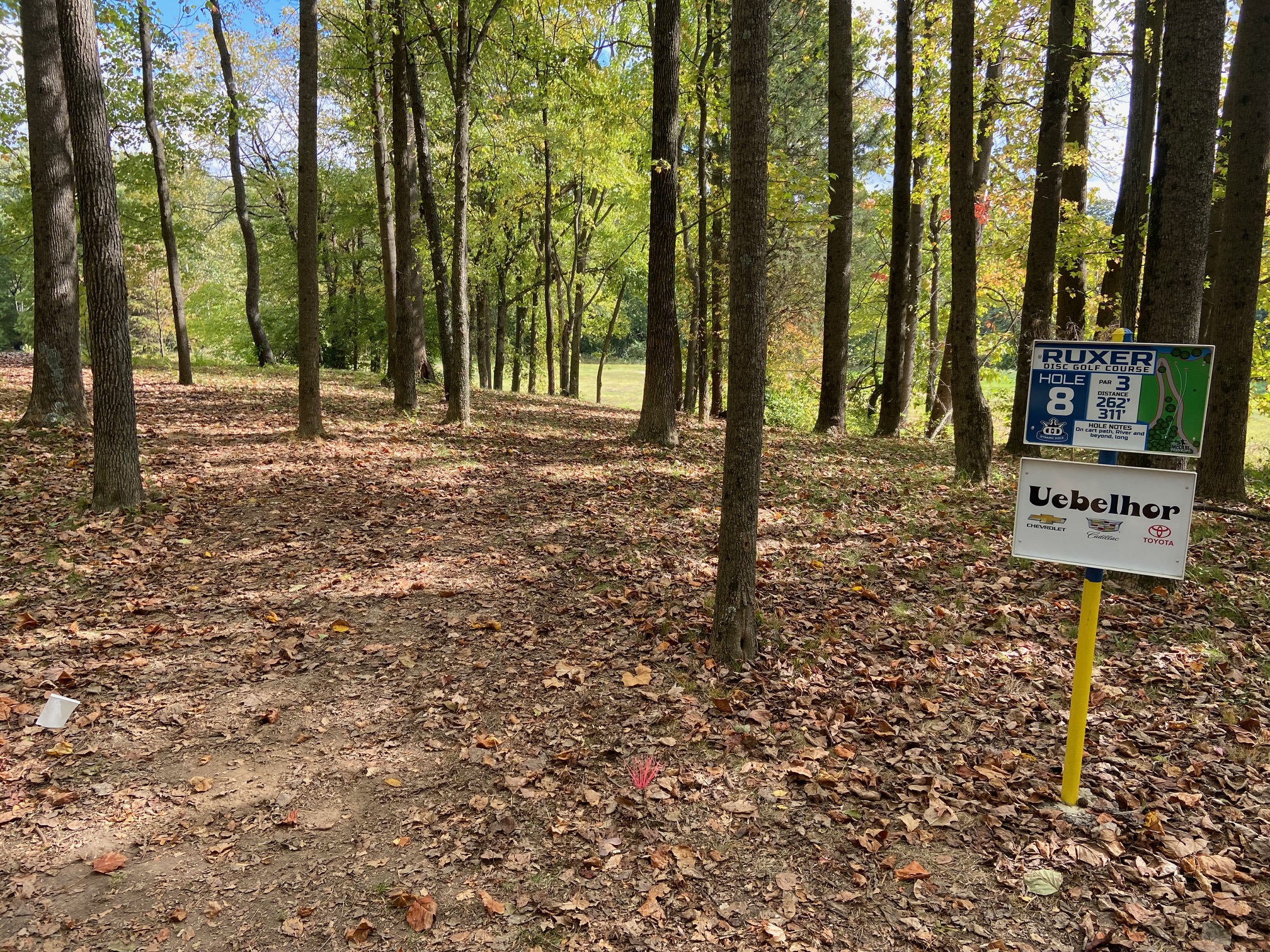 Ruxer Disc Golf hole 8